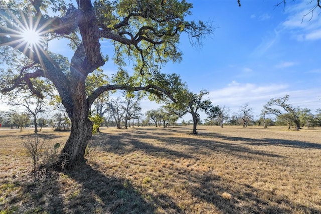 167 Mr Charlie Ln, Round Mountain, TX 78663 - photo 5