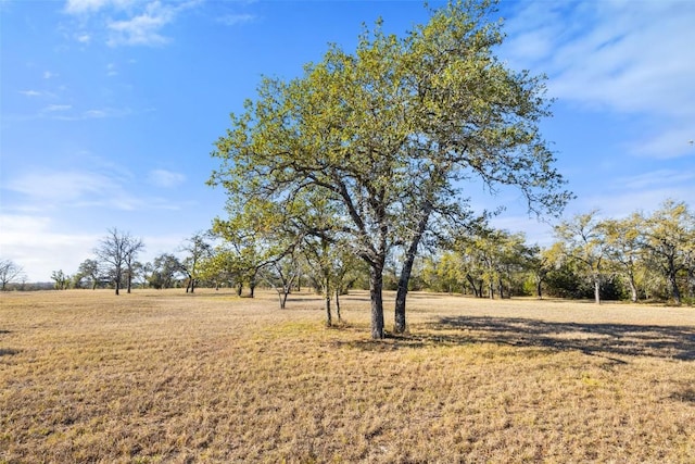 167 Mr Charlie Ln, Round Mountain, TX 78663 - photo 6
