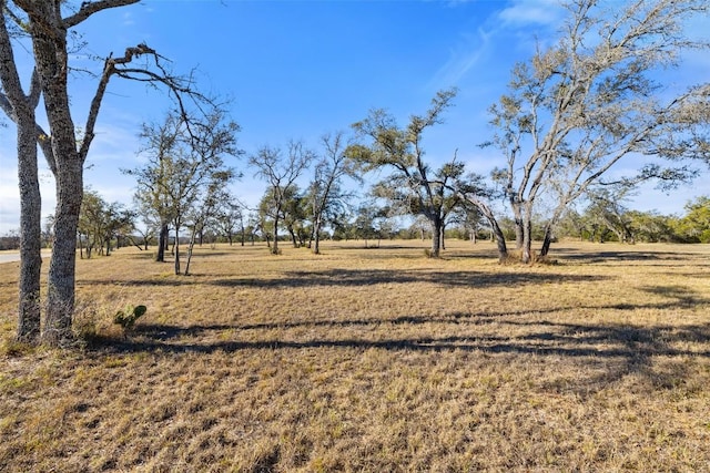 167 Mr Charlie Ln, Round Mountain, TX 78663 - photo 7