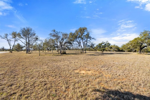 167 Mr Charlie Ln, Round Mountain, TX 78663 - photo 8