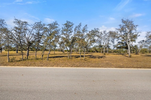167 Mr Charlie Ln, Round Mountain, TX 78663 - photo 9