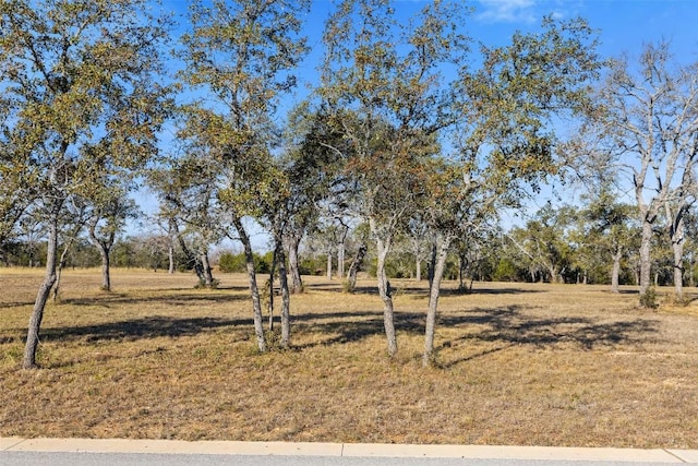 167 Mr Charlie Ln, Round Mountain, TX 78663 - photo 10