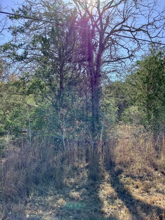 211 Big Bow, Smithville TX, 78957 land for sale