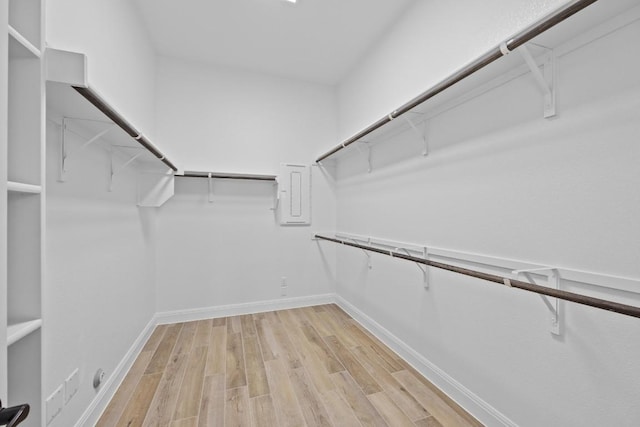 spacious closet with light wood-type flooring