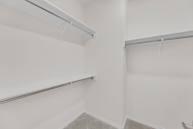 walk in closet featuring carpet