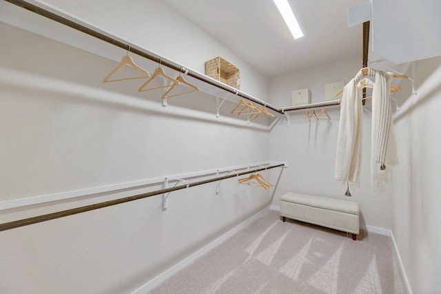 walk in closet featuring carpet floors