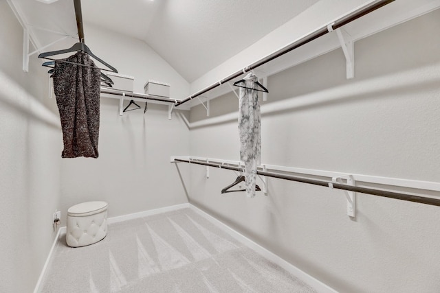 spacious closet with carpet floors and vaulted ceiling