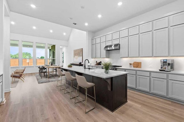 2120 Tobiano Trce, Georgetown, TX 78633 - kitchen featuring under cabinet range hood, recessed lighting, a sink, light countertops, and a center island with sink