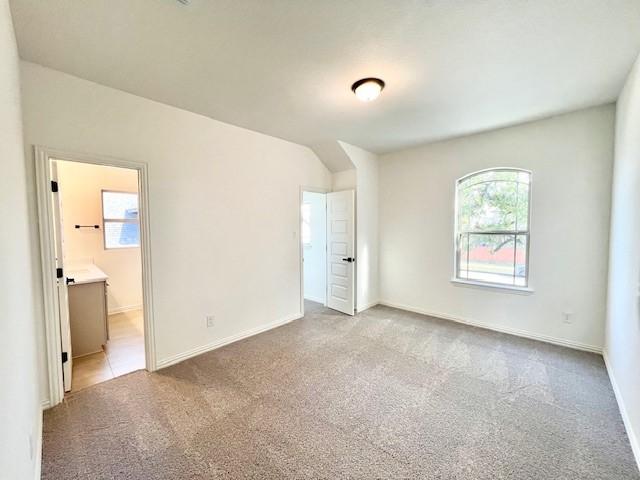 carpeted empty room featuring plenty of natural light