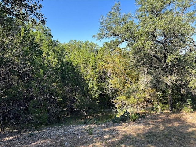 182 Belle Dr, Wimberley, TX 78676 - photo 33