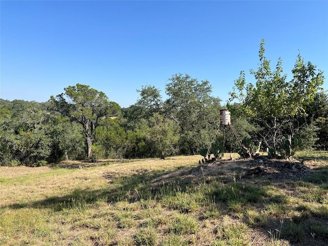 182 Belle Dr, Wimberley, TX 78676 - photo 35