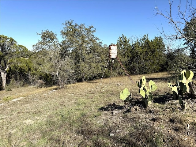 view of local wilderness