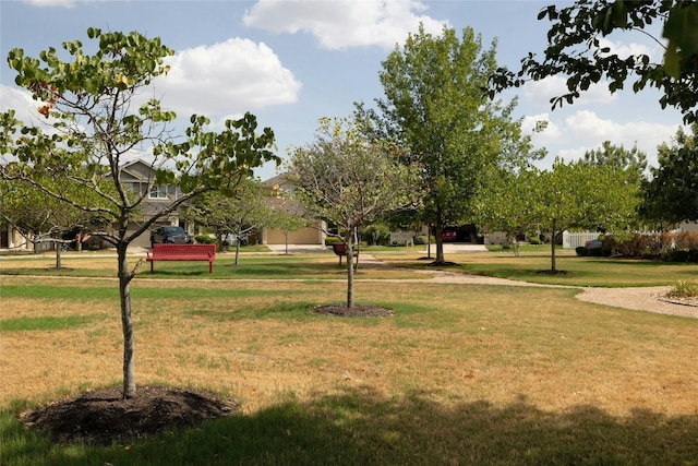 view of home's community with a yard