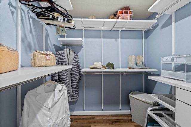 spacious closet featuring dark hardwood / wood-style floors