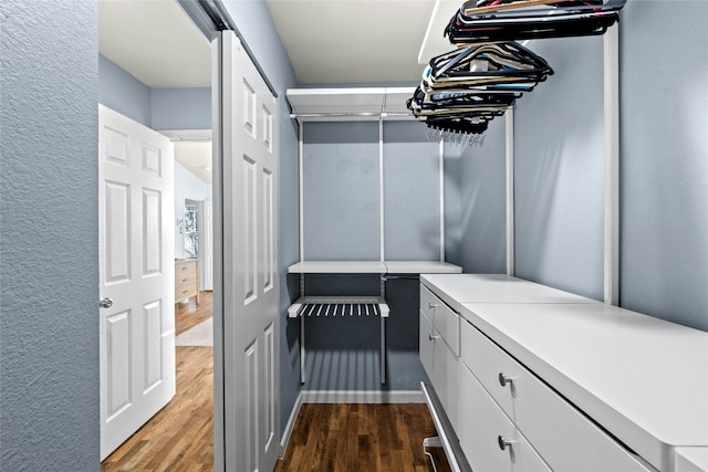 walk in closet featuring wood-type flooring