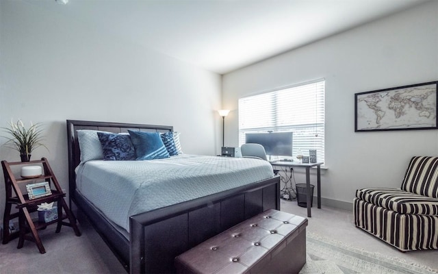 bedroom featuring carpet