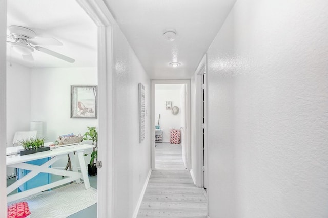 corridor with light wood-type flooring