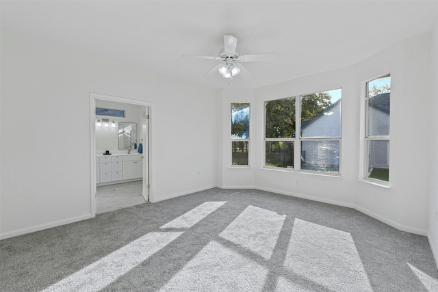 101 Buttercup Trl, Georgetown, TX 78633 - photo 21