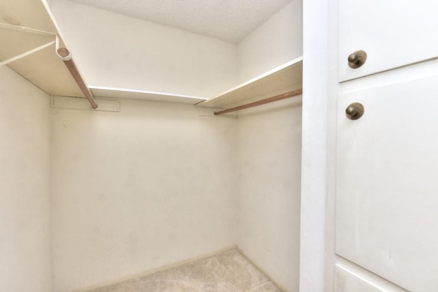 walk in closet with light carpet