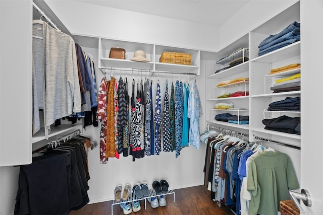 spacious closet featuring dark wood-type flooring