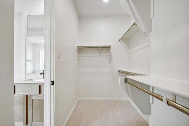 spacious closet featuring light carpet and a sink