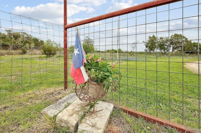 view of yard featuring a rural view