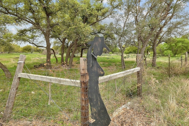 view of yard with a rural view