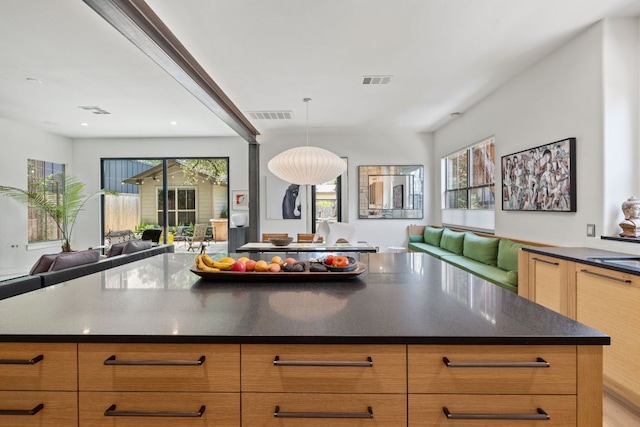 1005 Jewell St, Austin, TX 78704 - kitchen with open floor plan, plenty of natural light, modern cabinets, and recessed lighting