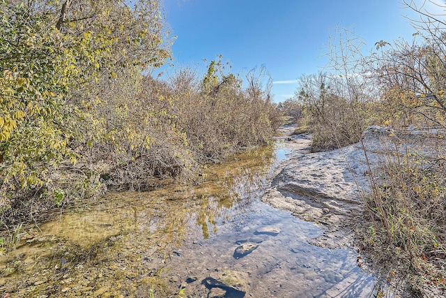 view of nature