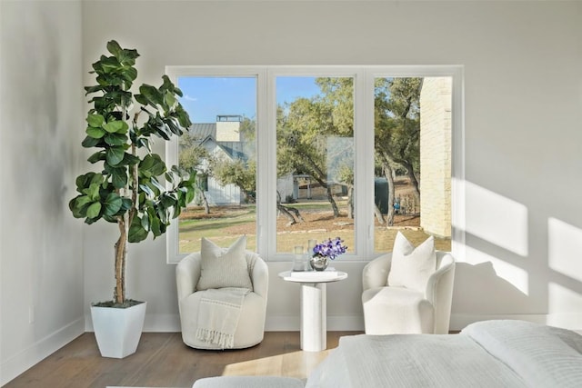 living area featuring hardwood / wood-style flooring