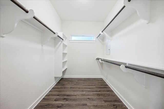 walk in closet with dark hardwood / wood-style flooring