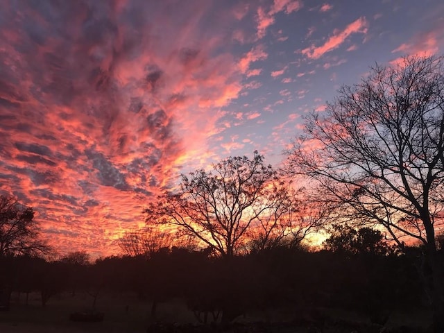 view of nature at dusk