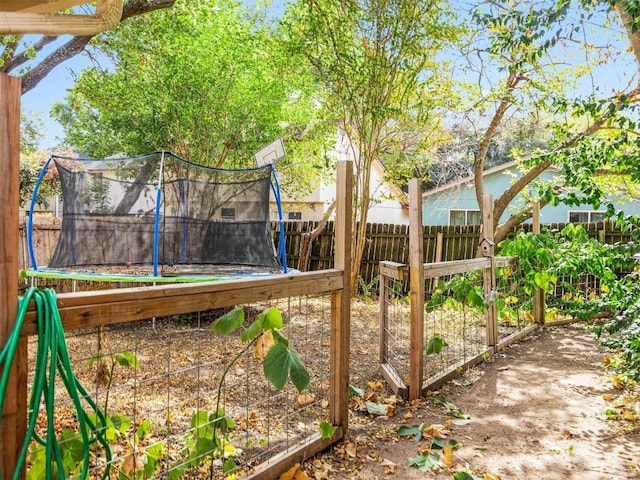 view of yard with a trampoline