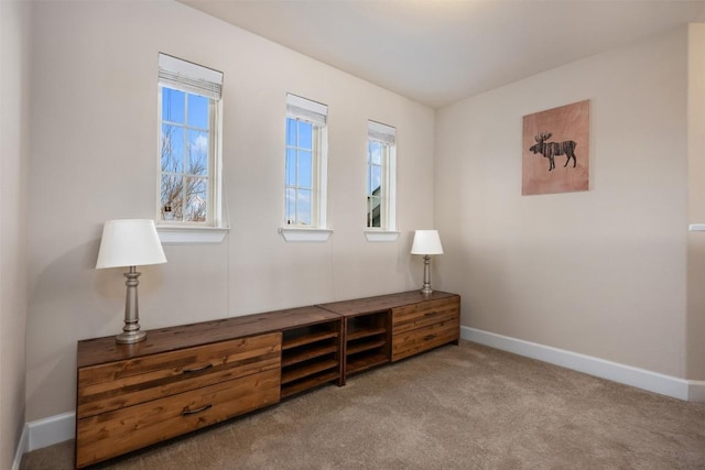 living area with light carpet and a healthy amount of sunlight