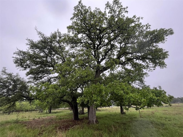 Listing photo 2 for TBD Cheyenne Pass, Salado TX 76571