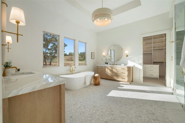 bathroom with vanity, a bath, and a tray ceiling