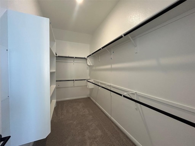 spacious closet with dark carpet