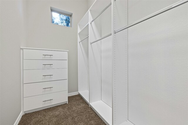 spacious closet with dark colored carpet