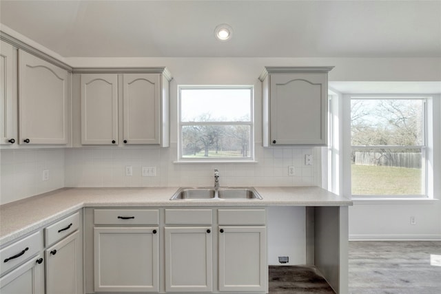 kitchen with hardwood / wood-style floors, backsplash, a healthy amount of sunlight, and sink