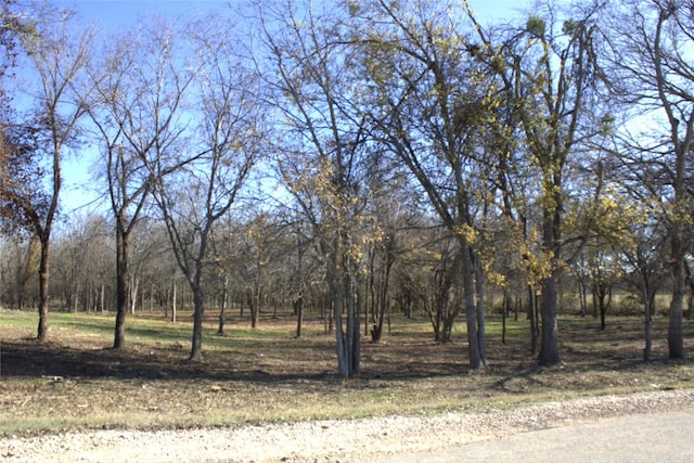 TBD S Hackberry St, Holland TX, 76534 land for sale