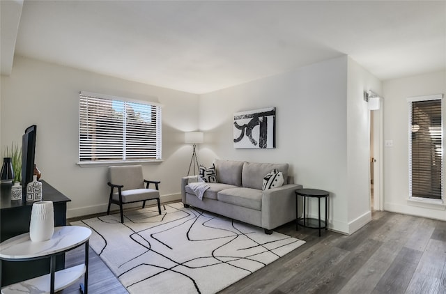 living room with dark hardwood / wood-style floors