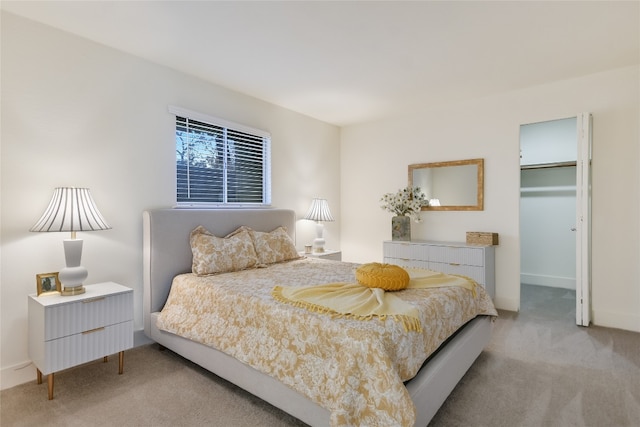 carpeted bedroom featuring a walk in closet, a closet, and radiator heating unit