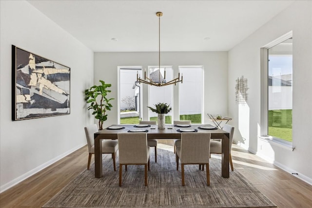 dining area with dark hardwood / wood-style floors