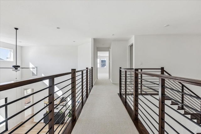 hallway with carpet floors