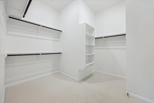 walk in closet featuring carpet