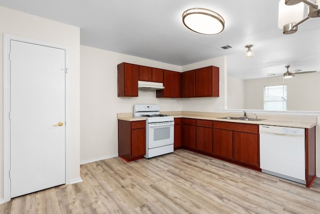 kitchen featuring light wood-type flooring, white appliances, ceiling fan, and sink