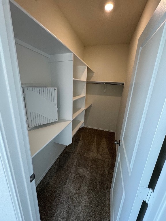 walk in closet featuring dark colored carpet