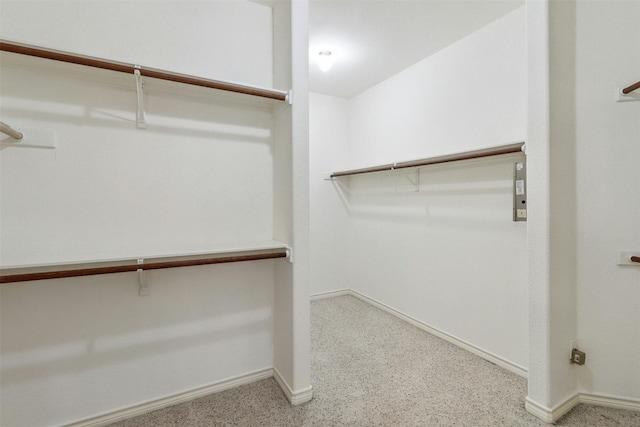 spacious closet with light carpet