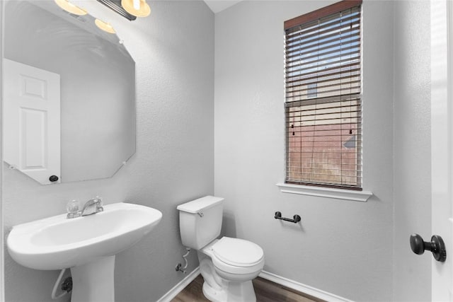 bathroom featuring sink, hardwood / wood-style floors, and toilet