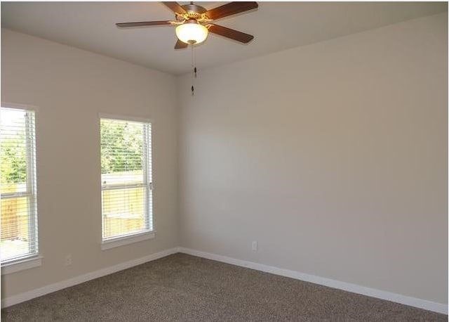 empty room with carpet flooring, ceiling fan, and a healthy amount of sunlight